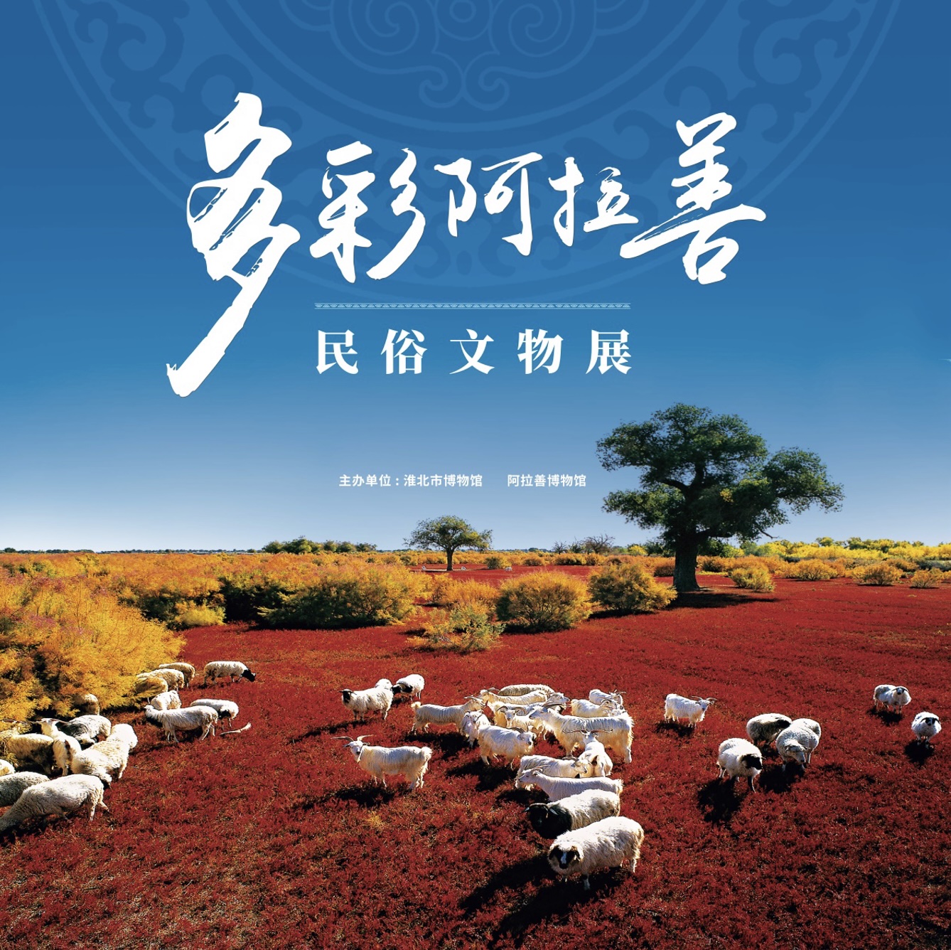 新展推荐：多彩阿拉善——民俗文物展